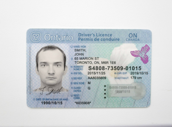 Buy Canadian Driver License Online